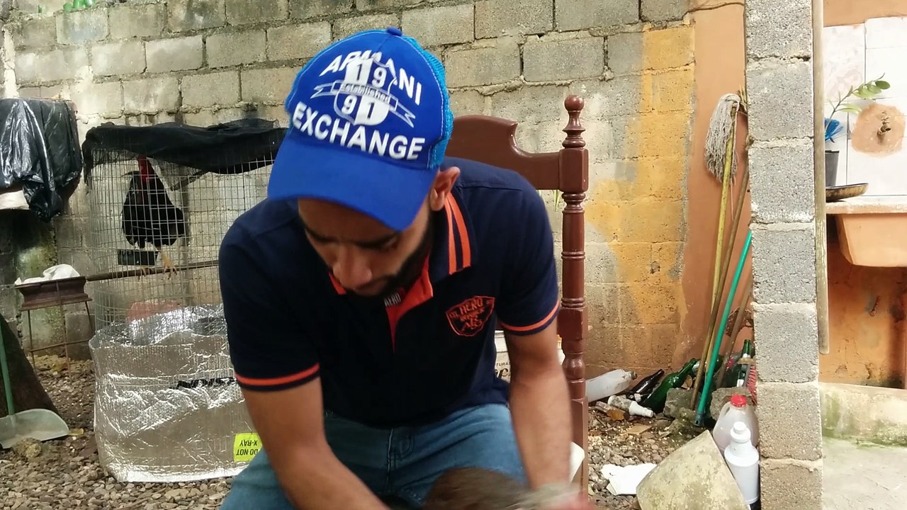 Otra Gira Disponible Jaime Doorly x Jaime Doorly. 829-320-4700