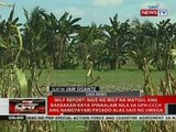 QRT: Senado, may kopya na ng report ng MILF sa bakbakan sa Mamasapano