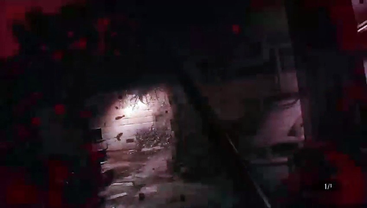 Resident evil 7 (30)