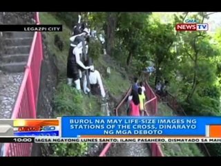 NTG: Zoobic Safari, patok para sa mga bata at mahilig sa animal adventures