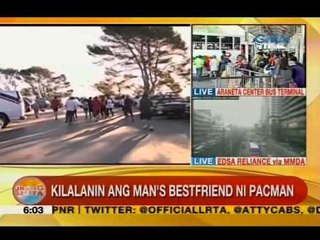 UB: Kilalanin ang man's bestfriend ni Pacman