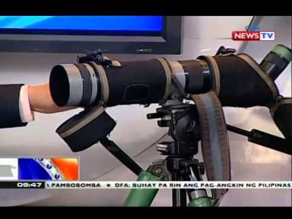 NTG: Birdwatching sa Metro Manila