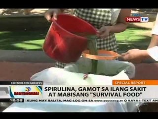 BT: Spirulina, gamot sa ilang sakit at mabisang 'survival food'