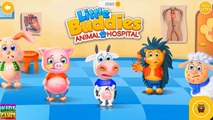 Animal Doctor Care. Hospital of Animals. Care of Pets. Game App for Kids.