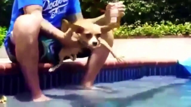 Взрослые Приколы ! Сборка самых смешных приколов 2017 Январь! Подборка приколов # 16