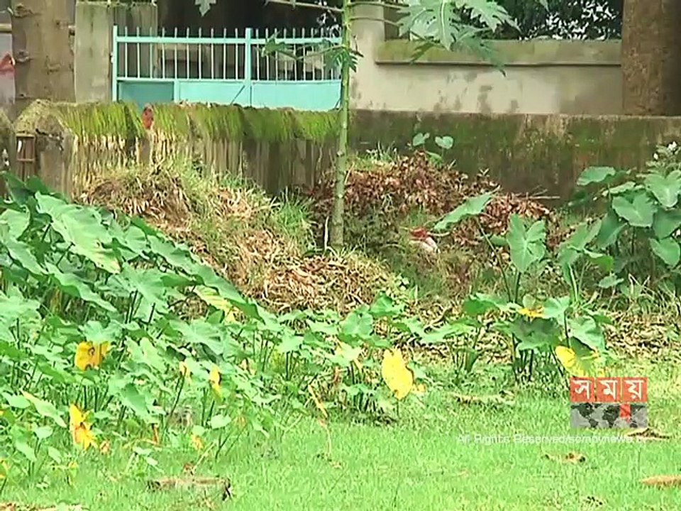 ৭ বছরেও শুরু হয়নি ফেনীতে জহির রায়হান অডিটোরিয়াম নির্মাণ