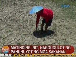 UB: Matinding init, nagdudulot ng panunuyot ng mga sakahan