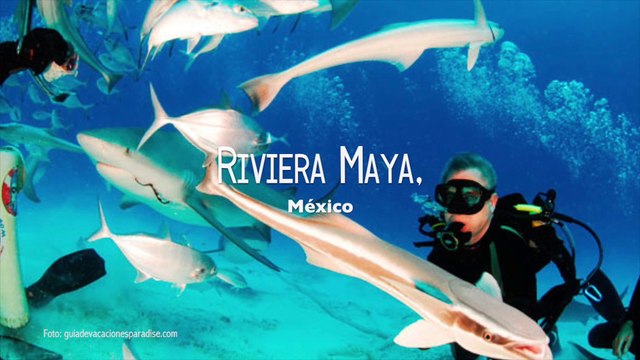 Increibles destinos para bucear