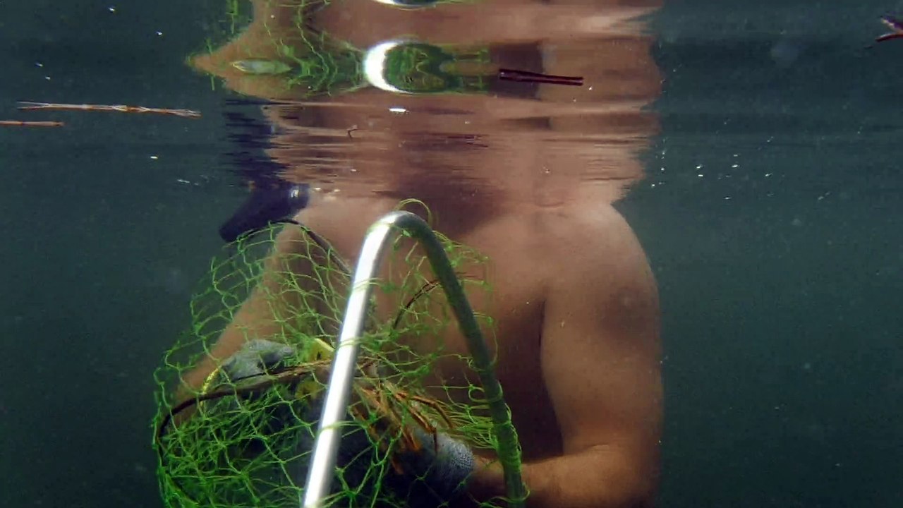 Catching lobster under rainbow