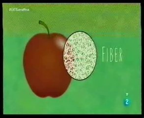 Fibra y microbiota intestinal: Cancer de colon (Butirato)