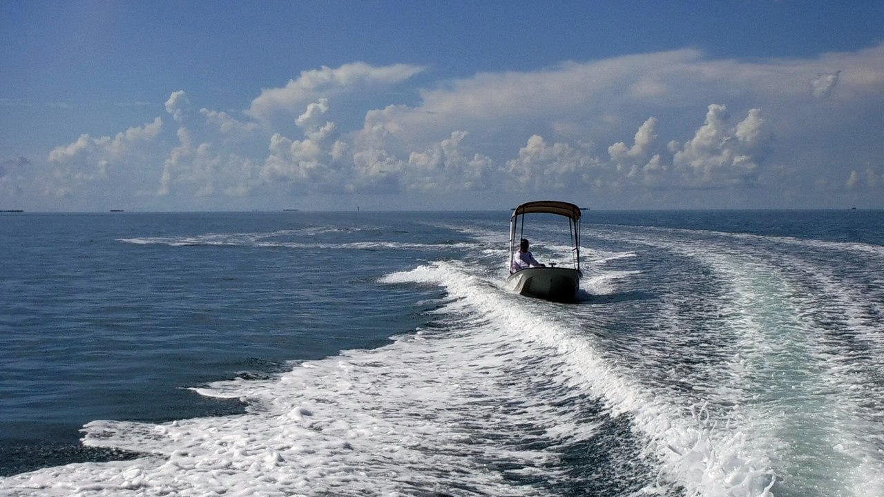 Degs on his whaler