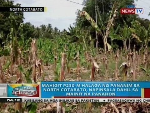 Mahigit P230-M halaga ng pananim sa North Cotabato, napinsala dahil sa mainit na panahon