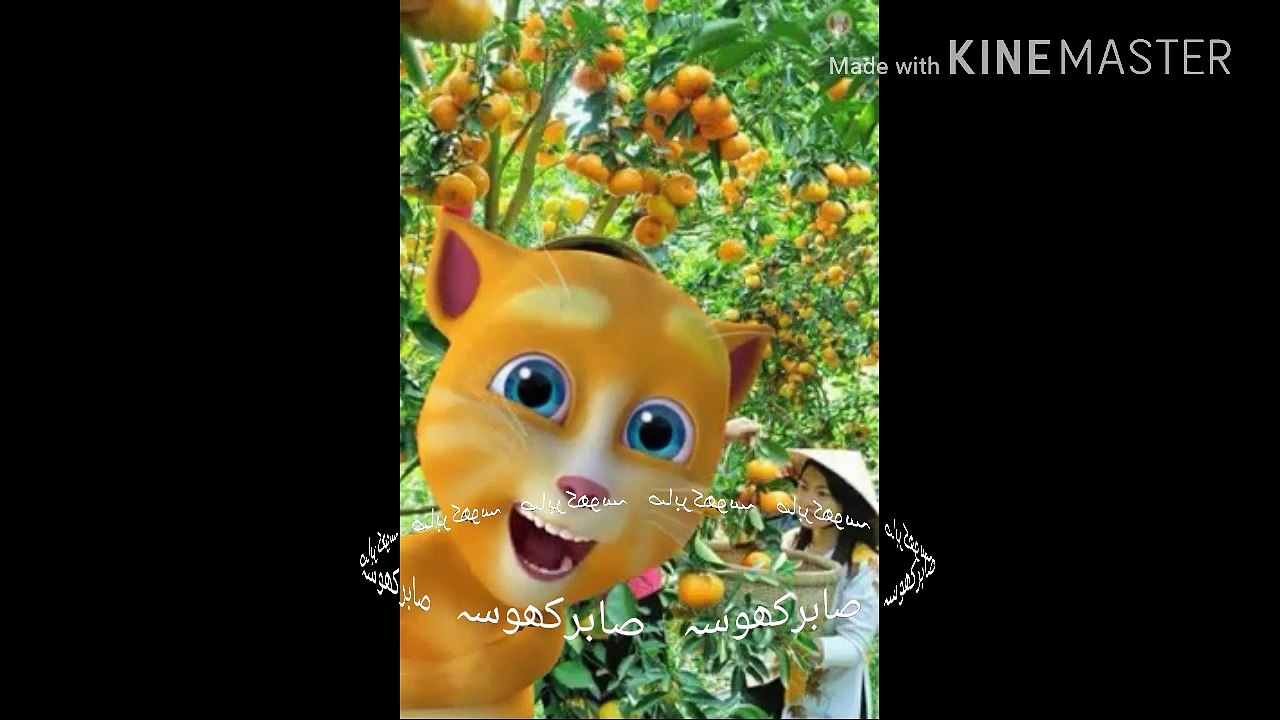 Saraiki Funy