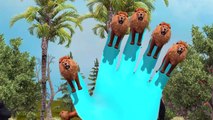 3D Animated Lion Finger Family Rhymes or Children | Top Animal Finger Family Rhymes