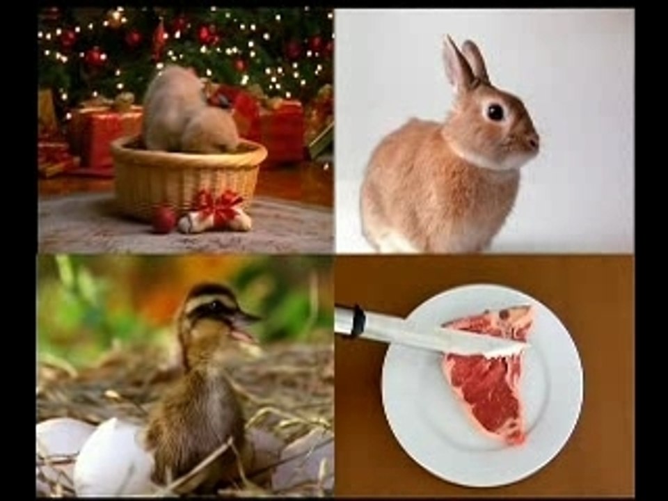 Concorso MiniClub: conquisti premi con le tue idee