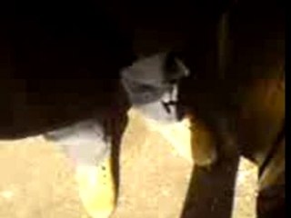 Croix Du Sud feat PAKOS