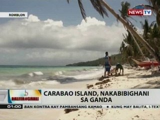 BT: Carabao Island, nakabibighani sa ganda