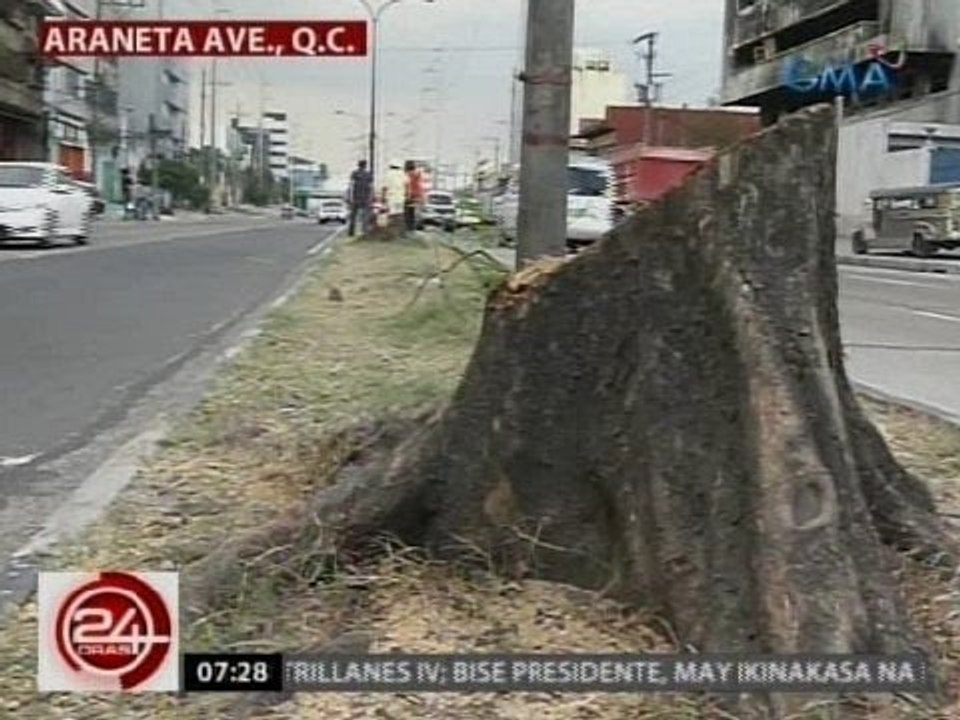 24 Oras: Mga puno pati narra, pinutol sa Araneta Ave. Para sa Skyway 3 project