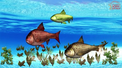 Machli Jal ki Rani Hai | Children Nursery Rhyme