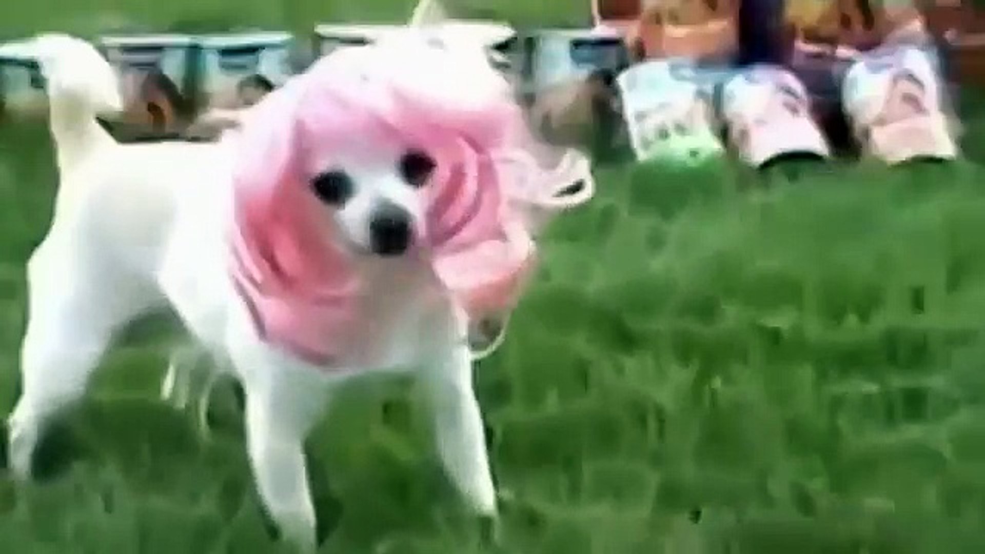 Самые новые угарные приколы! Подборка Приколов 2015