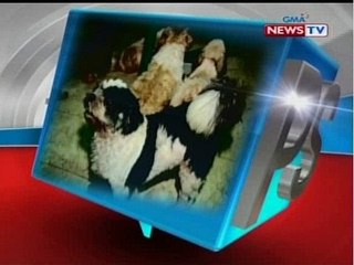 SONA: PostScript: Bantay