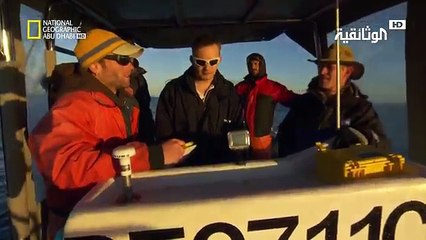 في سبيل الاكتشاف | كمين القرش الأبيض العظيم HD