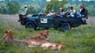 Sabi Sands Private Game Reserve Accommodation and Reservations - Kruger National Park