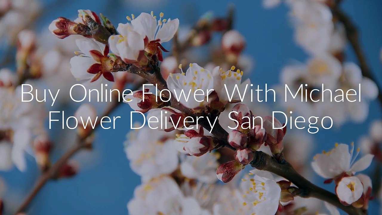 Buy Online Flowers By Michael Flower Delivery San Diego CA