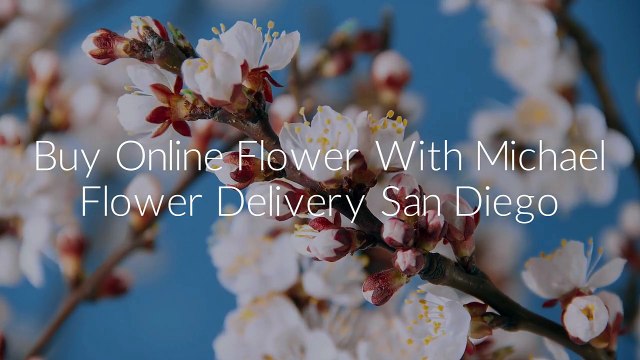 Buy Online Flowers By Michael Flower Delivery San Diego CA