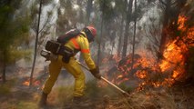 Homes evacuated in Chile amid battle to control wildfires