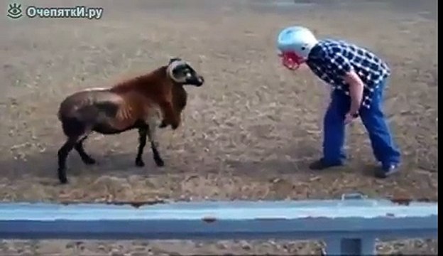 Пацан против козла!!!Прикол!!