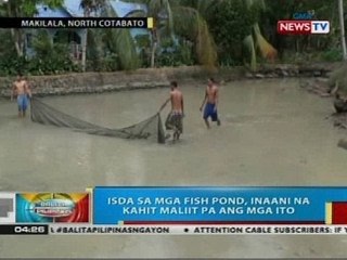 Isda sa mga fish pond sa Makilala, Cotabato, inaani na kahit maliit pa dahil sa init ng panahon