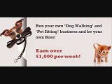 Pet Sitting And Dog Walking Business Start-up Kit