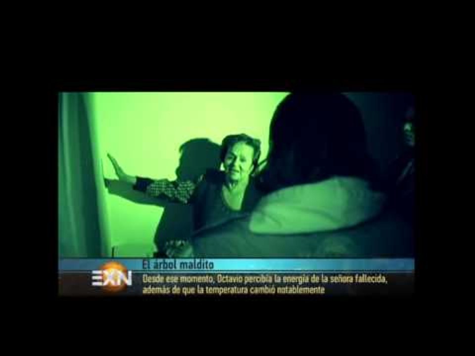 ¡Árbol maldito! Parte 1