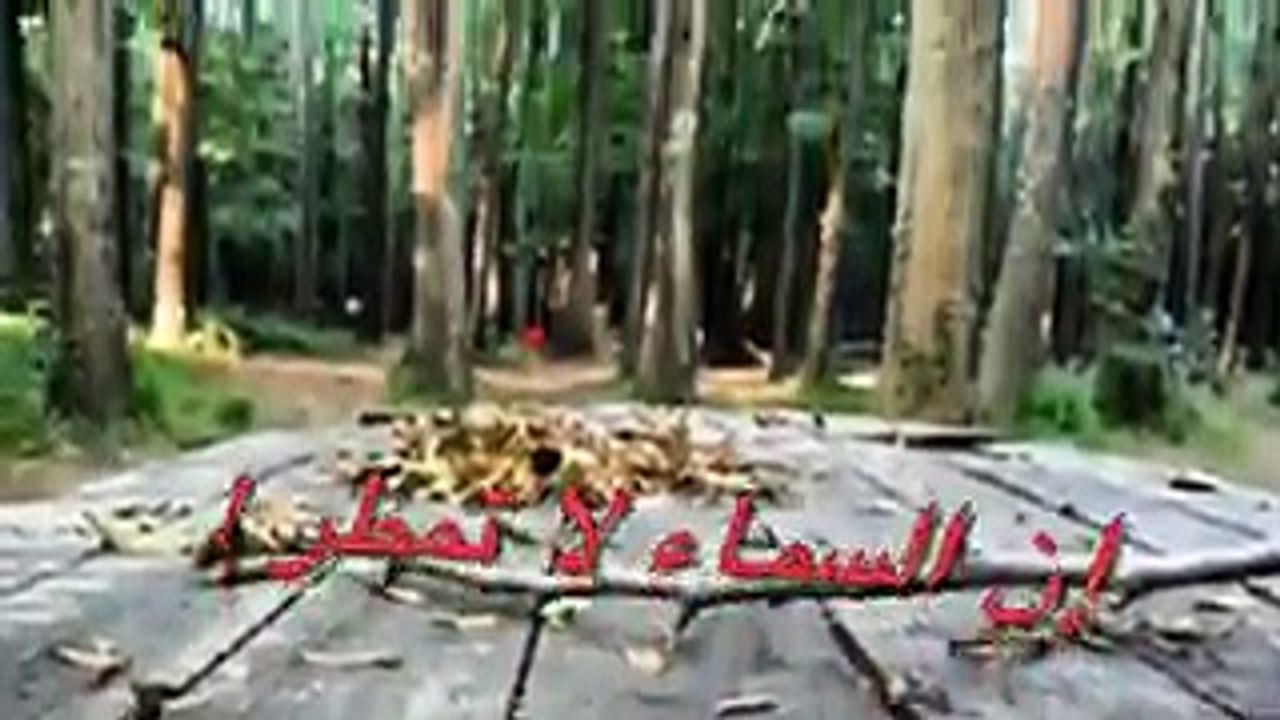 روعة ابن باز