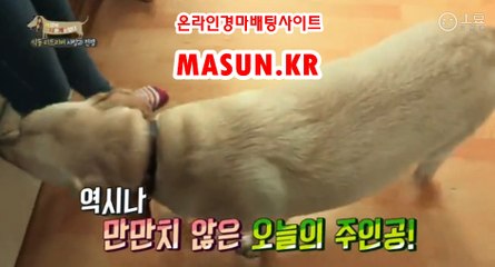 온라인경마사이트《 MASUN.KR 》 인터넷배팅