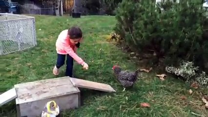 Watch This Clever Chicken Master an Agility Course! 🐔