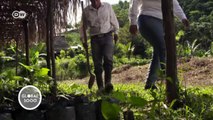 Reforestation in the ‘Land of Trees’ | Global 3000