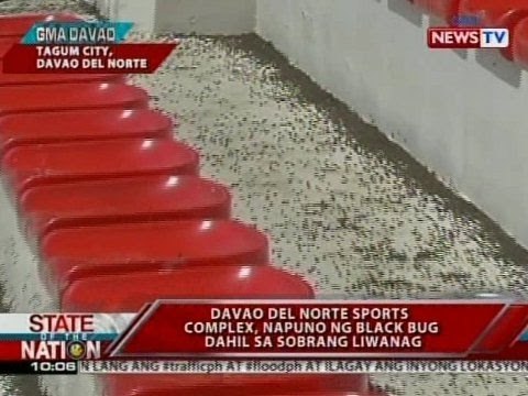 Sec. Roxas, kinumpirmang nagsagawa ng public consulation ang liberal party