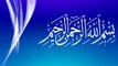03-Hafiz Ateeq-ul-Rehman Alvi Sb(28-Jan-2017)Magrabi Sazishain