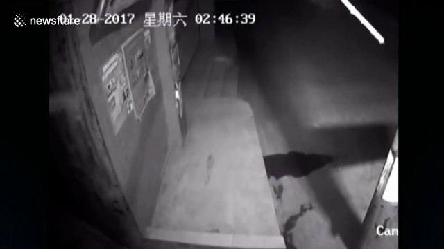 Earthquake hits Sichuan Province during Chinese New Year celebrations