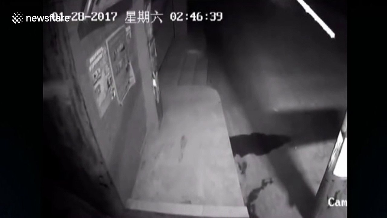 Earthquake hits Sichuan Province during Chinese New Year celebrations