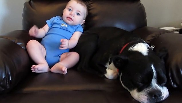 Assis à côté du bébé, le chien prend la tangente dès qu'il petit lui pète dessus !