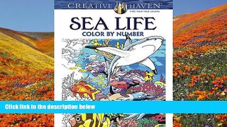 Download [PDF]  Creative Haven Sea Life Color by Number Coloring Book (Adult Coloring) George