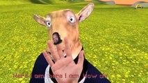 3d животные Finger Семья Детский английский 3d рифмуется | Дети Animated семья палец песня