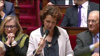 24/01/2017 - Question au Gouvernement - Emploi des jeunes
