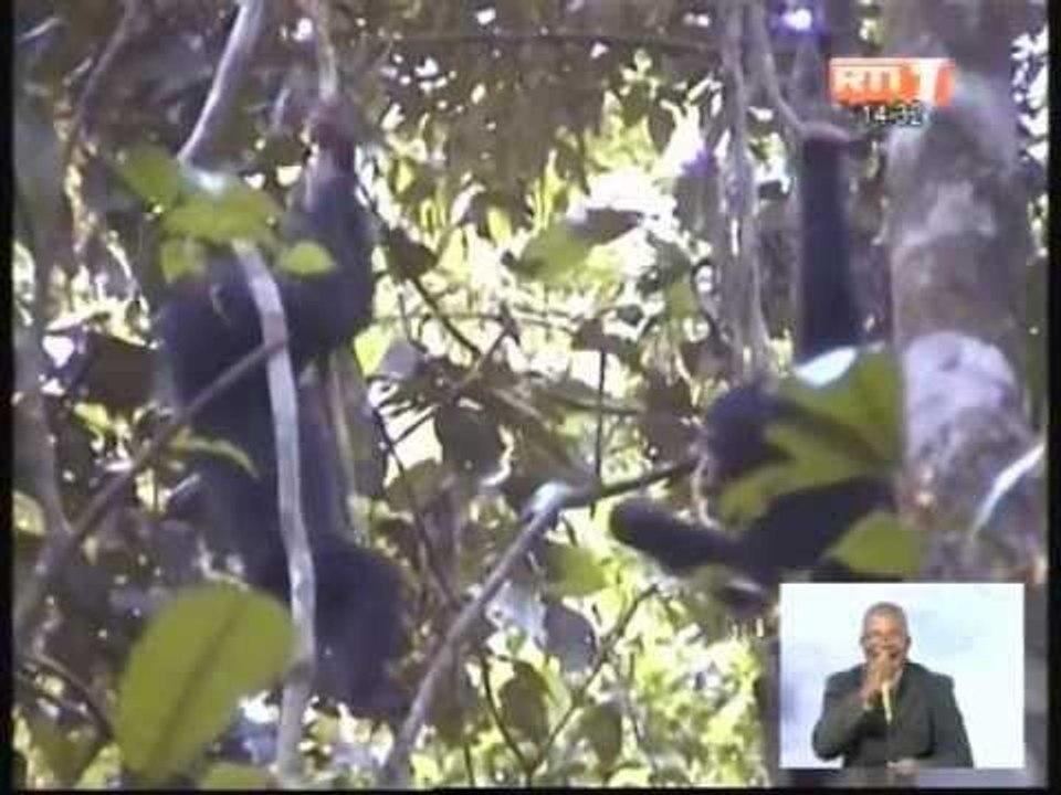 Lancement de la 3ème édition du Salon International du Tourisme d'Abidjan (SITA 2013)