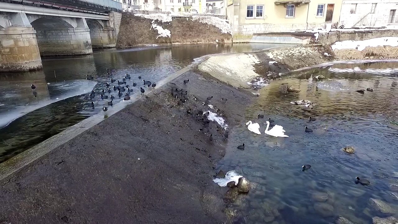 Baignade gelée...