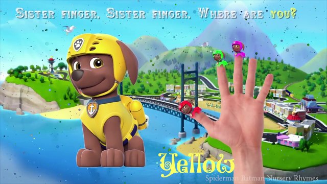 Zuma from Paw Patrol Finger Family Nursery Rhymes Song - Learning Colors for Kids with Zuma