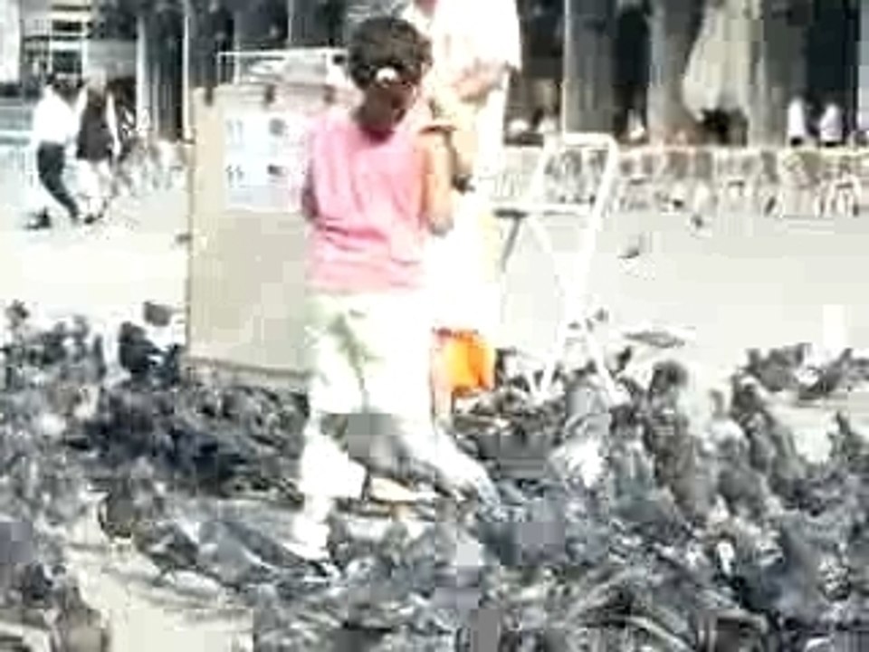 Sivane sur la Place San Marco Venezia